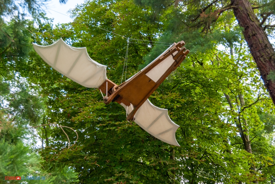Махалет или омнитоптер (ornithopter) Фото: Илья Думов, le-francais.ru